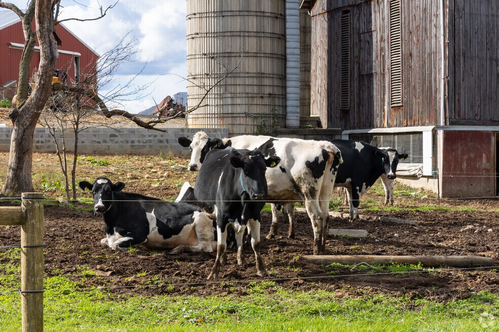 NH_Limestone_558510_P2_v1_BR_112724