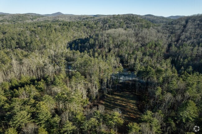 The DuPont State Forest is a great place to go fishing and camping in Hendersonville.