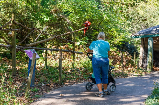 Mesker Park Zoo is the perfect place to bring your family for a day of animal fun.