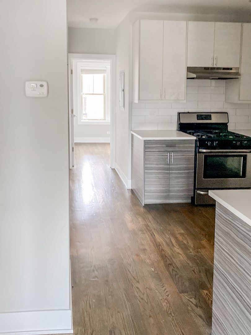 3917 N Janssen Ave unit 3917-3, Chicago, IL 60613 - photo 1