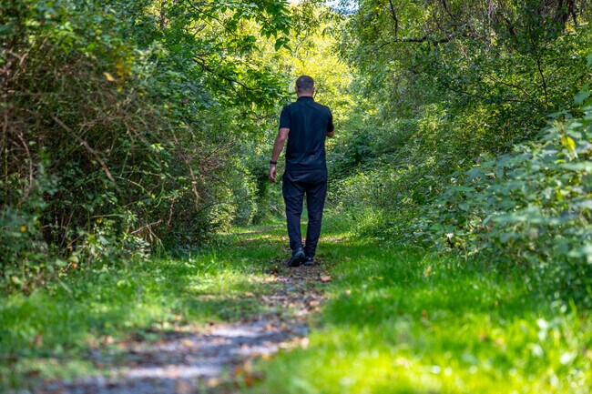 Get lost in nature on what seems like endless miles of hiking trails at Bald Eagle State Park.