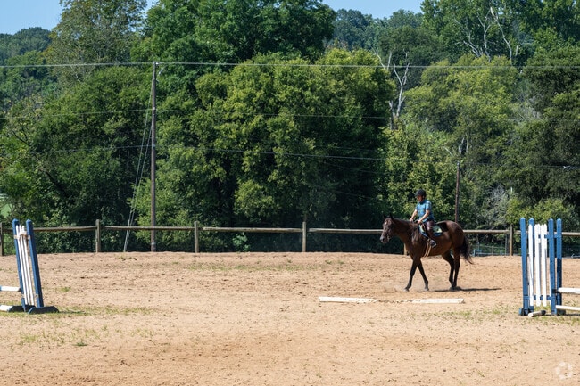 You can watch or learn to ride horses at the equestrian center at Tanglewood Park, just minutes from Lewisville.