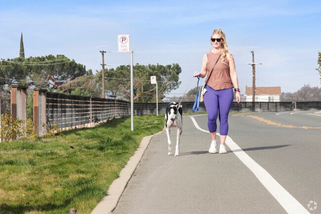 Morning stroll with her dog in Bethel Island's tranquility.