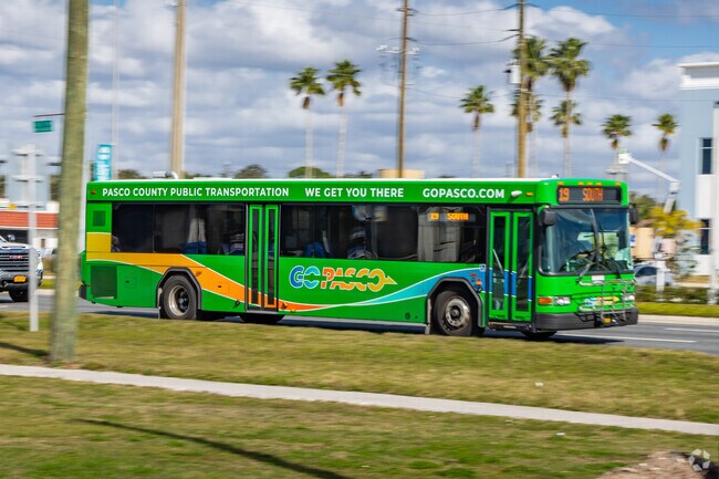 GoPasco, runs throughout the county making easy to get around.