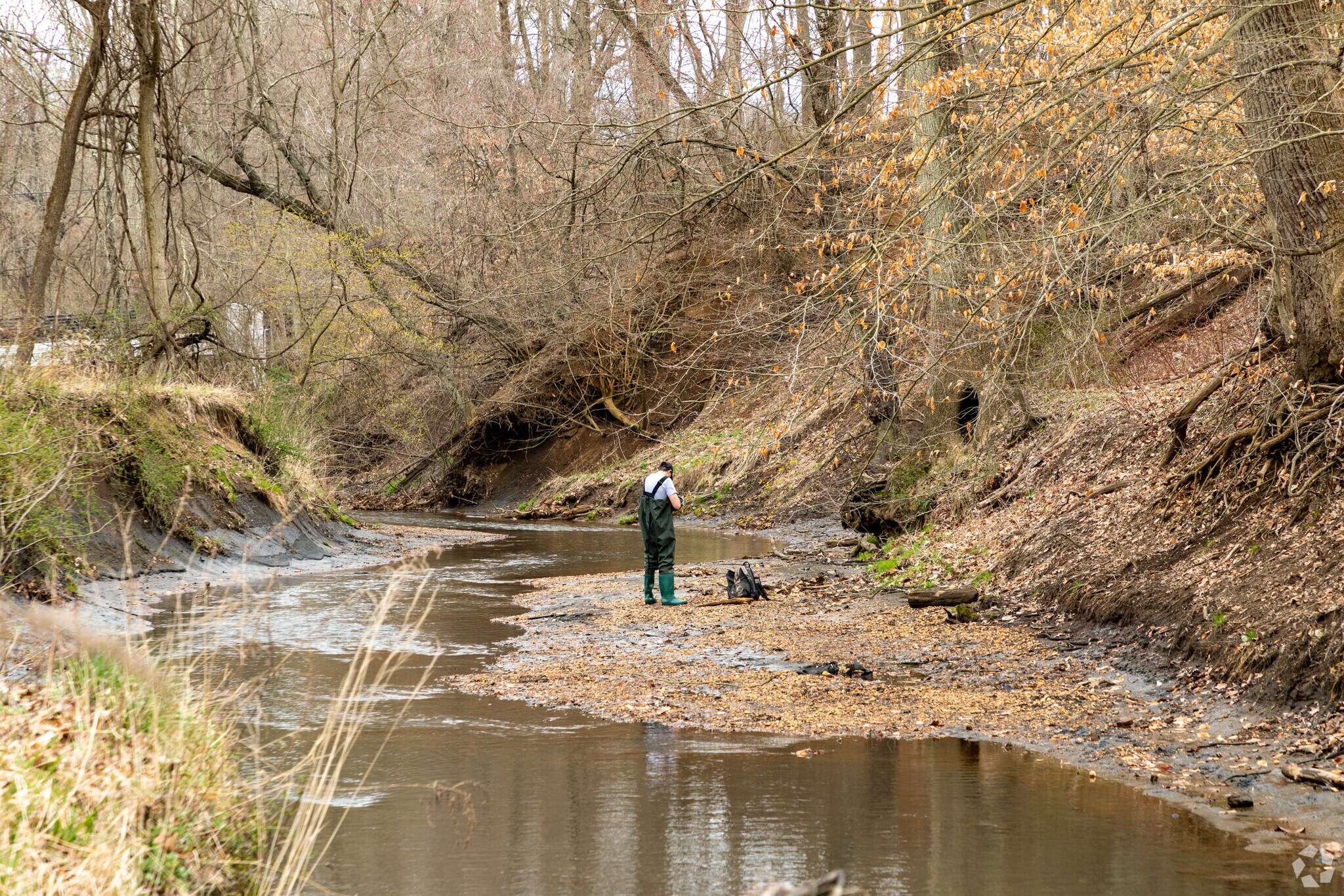 The stream at Big Brook Park contains a wealth of fossils.