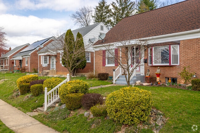 Cape cods line the green streets and wide sidewalks of Prospect Park.