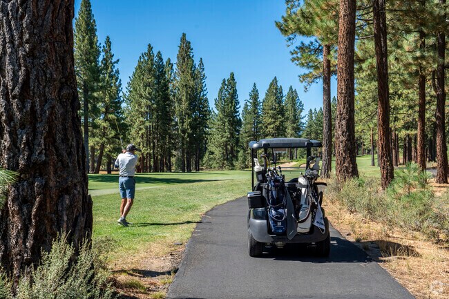The course at Gray's Crossing is cut through the pine trees, presenting challenges during play.
