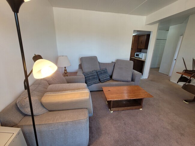 255 E Beaver Ave unit 1207, State College, PA 16801 - photo 7