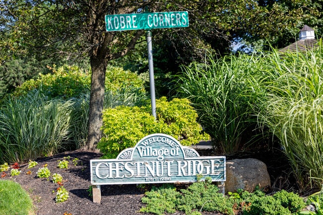 Chestnut Ridge Garden has a pretty display in the middle of town.