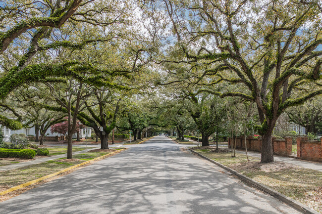 Georgetown has beautiful trees that canopy the local streets providing ample shade in the hot summer months.