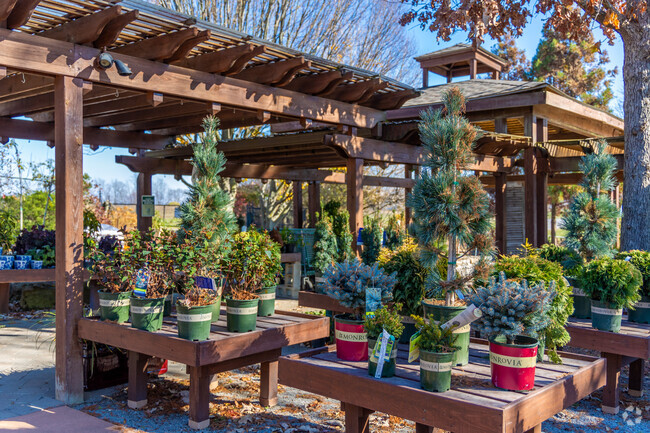 Check out some of the seasonal plants at Keene-Dixon Town's Springhouse Gardens.