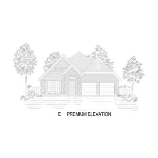 4100 Frontera Vista Dr Unit 36447145, Fort Worth, TX 76179