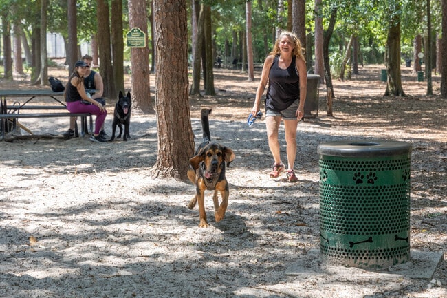 These dogs and their owners are enjoying a day at the dog park.