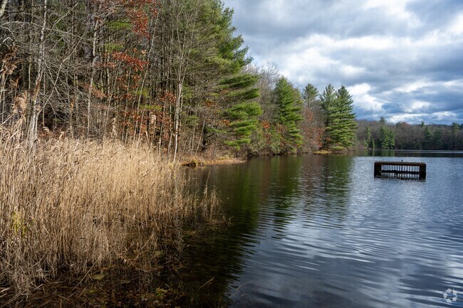 Explore the natural beauty and rich history of Old Furnace State Park in Danielson, where scenic trails, serene ponds, and breathtaking views await at every turn.