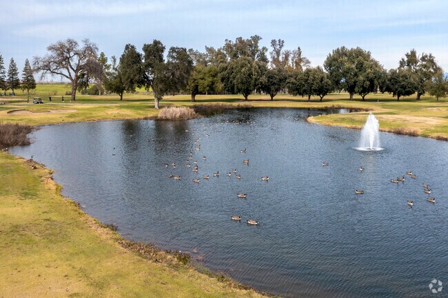 Relax by the pond at Riverside Golf Course in the Herndon area of Fresno.