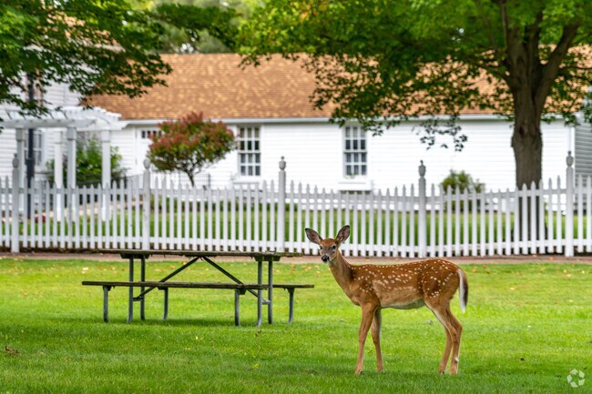 The Burgh Historical Park provides plenty of room to picnic and enjoy natural surroundings.