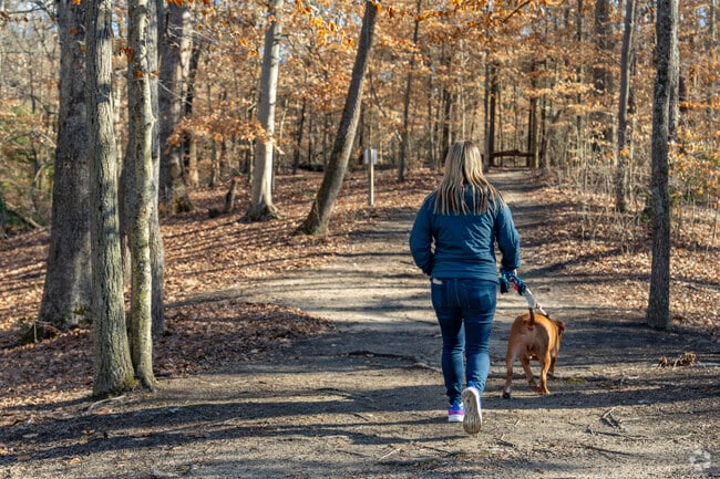 Mountain Island Park offers trails through woods and along the lake shore in Mount Holly.