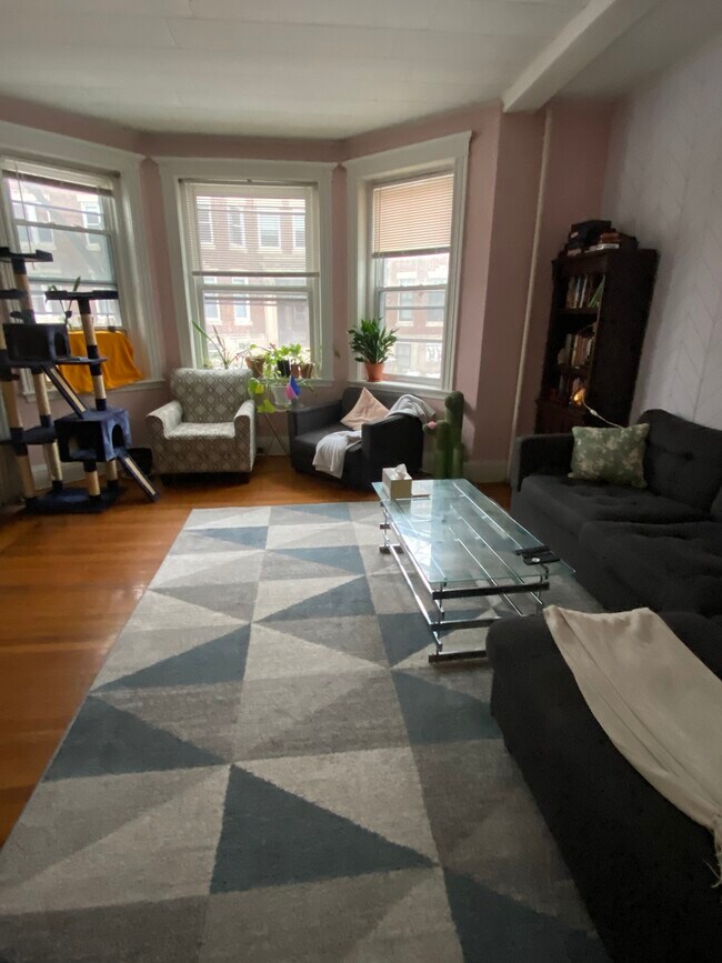 18 Euston St unit 2, Brookline, MA 02446 - photo 7