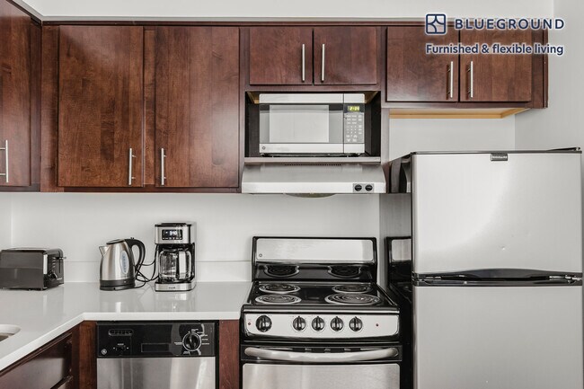 200 E Chestnut St unit FL14-ID1155, Chicago, IL 60611 - photo 4