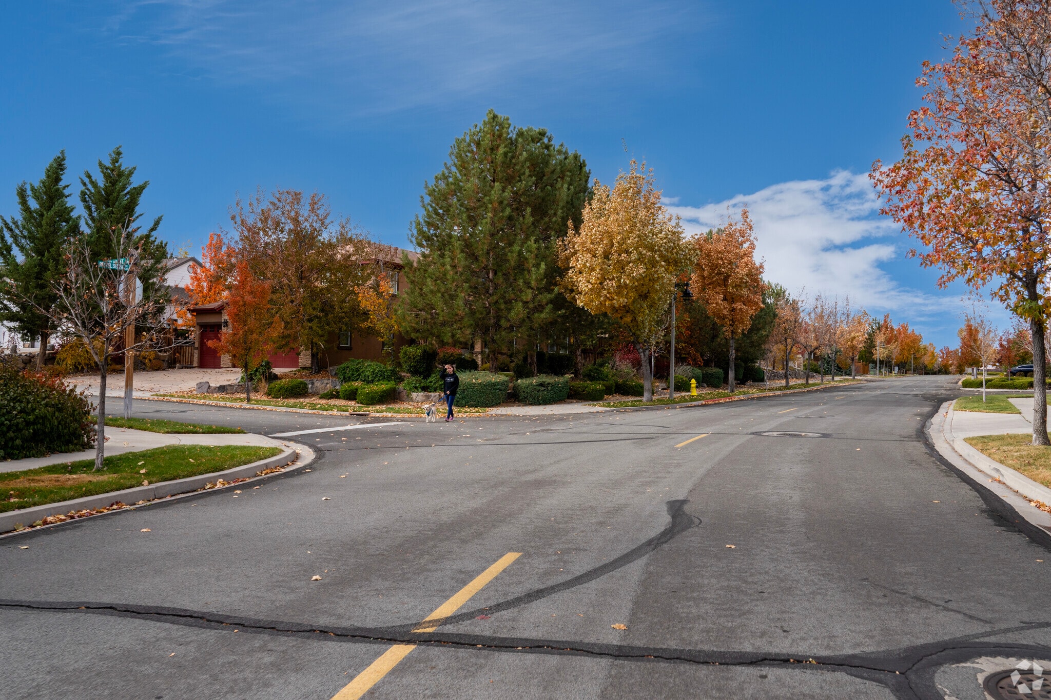 Wingfield Springs is mostly residential allowing for quiet walks with your dog.