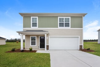 127 King Buck Dr, Gaston, SC 29053