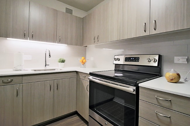 1130 E Cedar St, Chicago, IL 60610 - photo 3