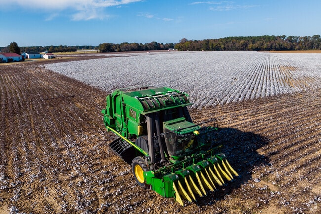 Cotton and Soybeans are main crops grown in the Boon Hill Township.