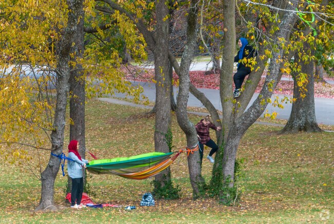 Hartland residents and visitors can have an adventure at Hartland Park.