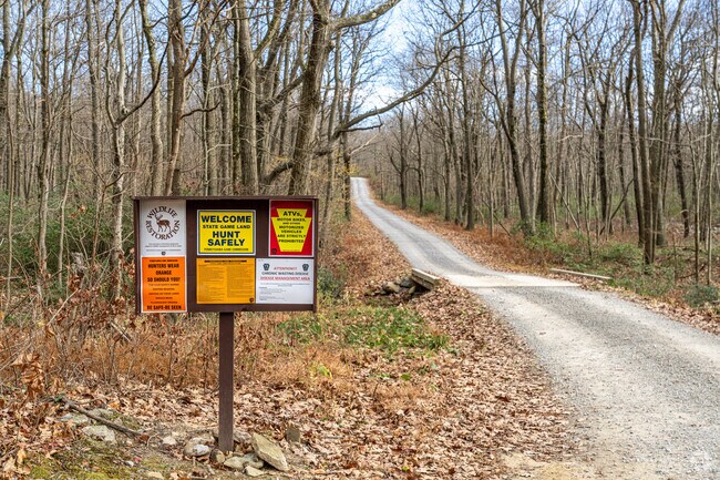 State Gamelands 33 offers hunters in Taylor an opportunity to hunt deer and other wildlife.