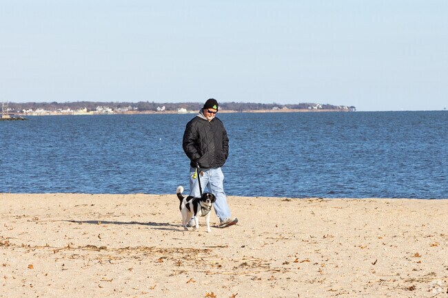 Walk along the beach at Corey Beach by Patchogue.