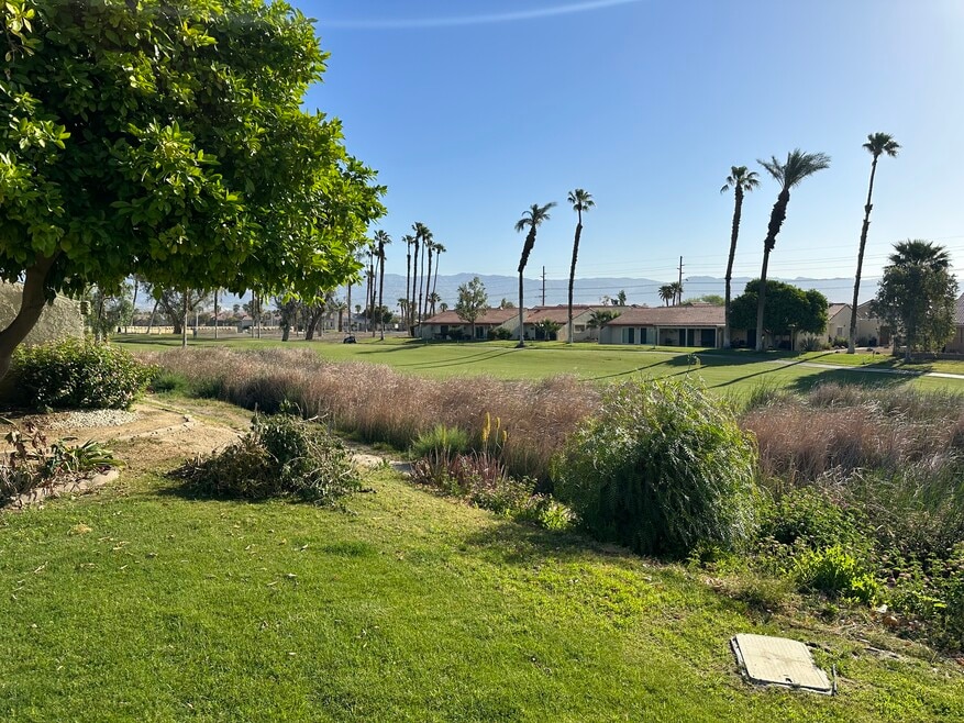 View from the back patio onto the green
