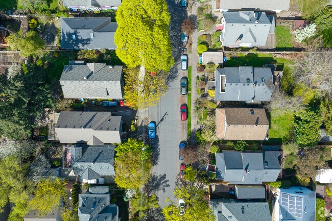 Aerial view of tree lined streets in Sunnyside.