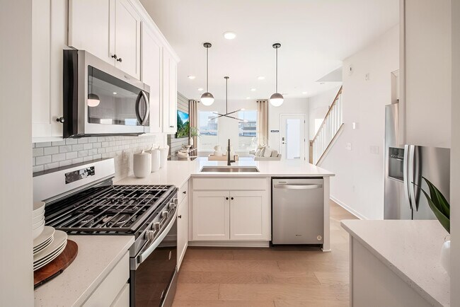 117 Lyla Ln, New Brunswick, NJ 08901 - photo 6