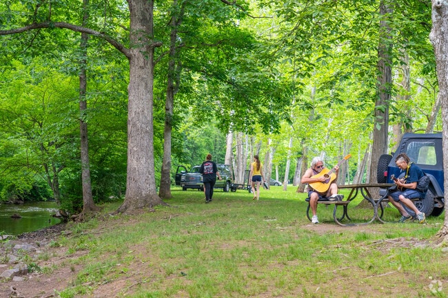 Ironstone Park visitors sit by Ironstone Creek and play some music.
