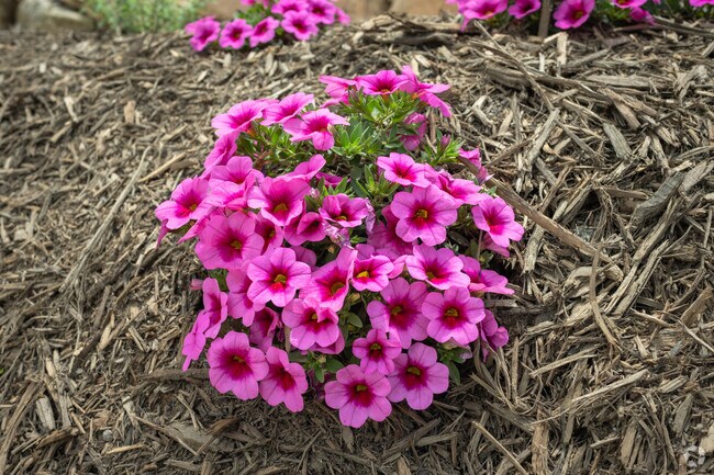 The Gorge adventure park offers ziplining and has beautiful wildflowers throughout Saluda.