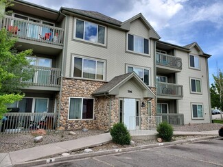 796 Castle Valley Blvd Unit E, New Castle, CO 81647