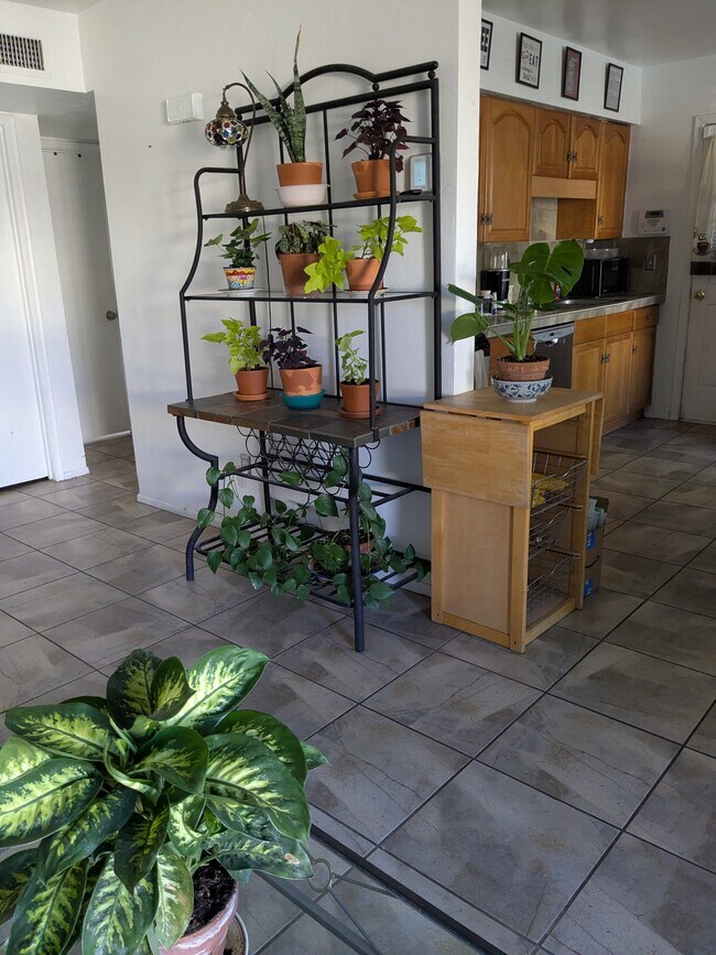 4365 N La Osa Way, Tucson, AZ 85705 - photo 3