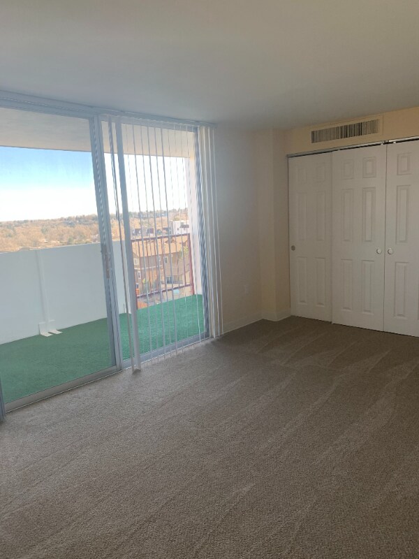 921 Green Star Dr unit 101, Colorado Springs, CO 80905 - photo 6