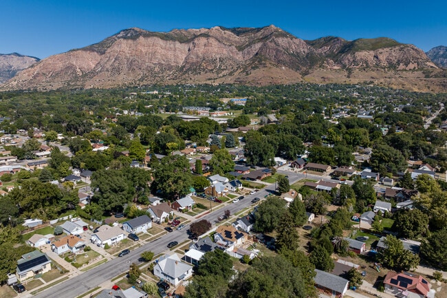 An aerial view of Canyon Road shows a neighborhood with mature trees close to the mountains.