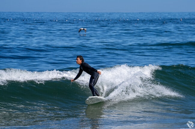 Morning waves draw locals near Casanova Oak Knoll to Monterey’s calm, surf-friendly shoreline.