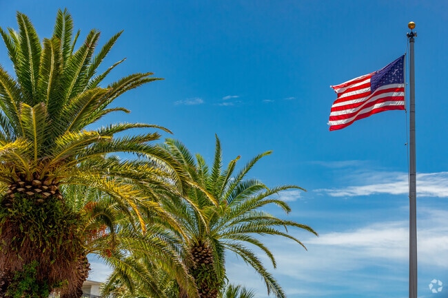 With stunning blue skies & towering palm trees, Indian Shores is a wonderful place to live.