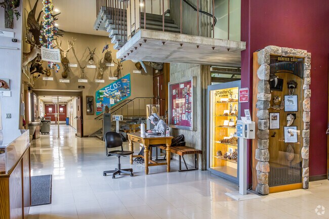 A student sits and studies at the quiet Sierra College Natural History Museum in Rocklin.