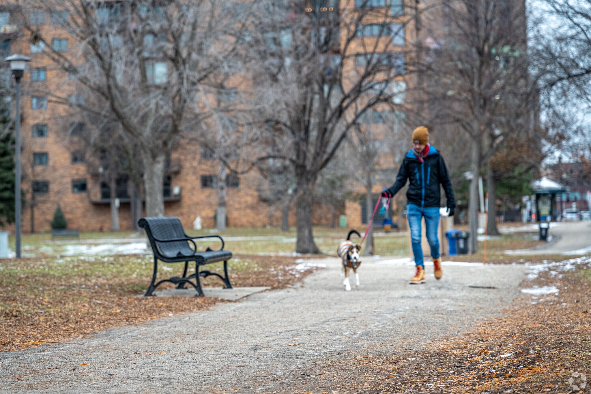 About Loring Park Schools, Demographics, Things to Do