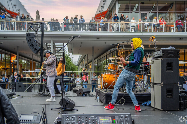 The bass guitarist at the smooth jazz concert delivers deep rhythms and smooth vibes.