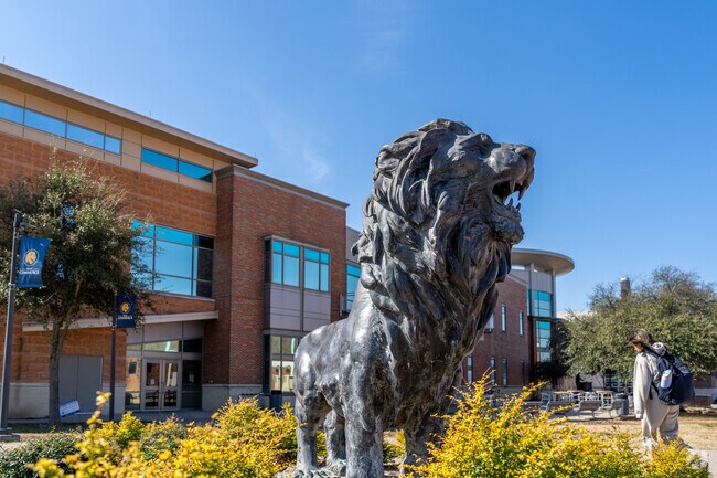Sulphur SpringsMany Sulphur Springs students attend East Texas A&M, where pride is on full display.
