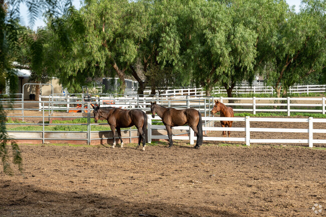 Multi-acre lots in Los Ranchitos allows for an equestrian lifestyle.