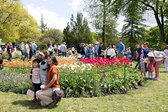 The annual Tulip Festival in Washington Park draws over 15,000 people and almost 200 vendors.