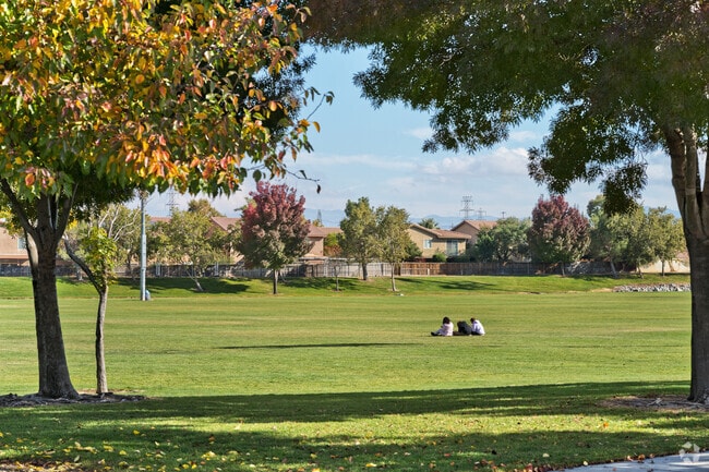 Wide grassy field at Mesa Linda Park, a peaceful spot in Mesa Linda's desert suburb.