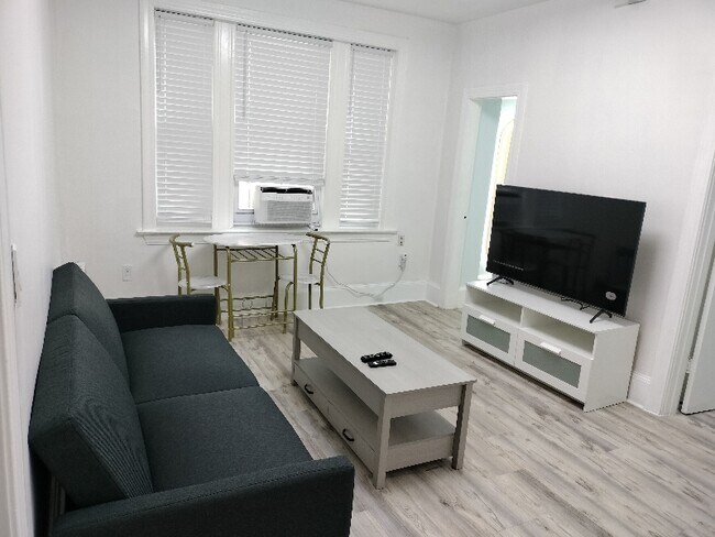 56 Park Vale Ave unit 4, Boston, MA 02134 - photo 4