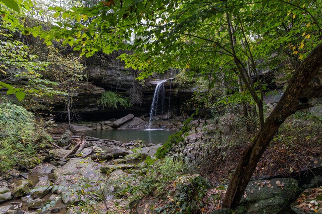 Big Beaver is here to help you relax and enjoy life.
